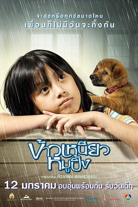 布鲁斯·斯普林斯汀：给你的信 封面图